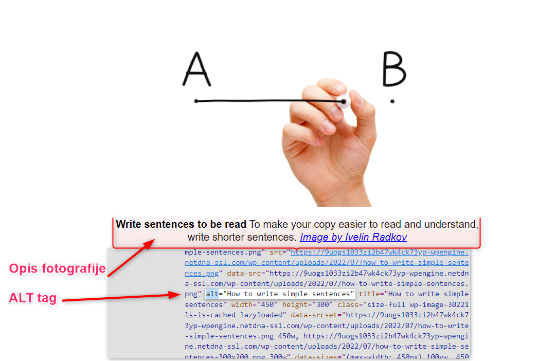 ALT tag opis fotografije