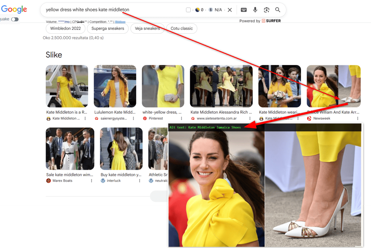 SEO optimizacija slika za web 1 Google pretraživanje slika određenog proizvoda i brenda