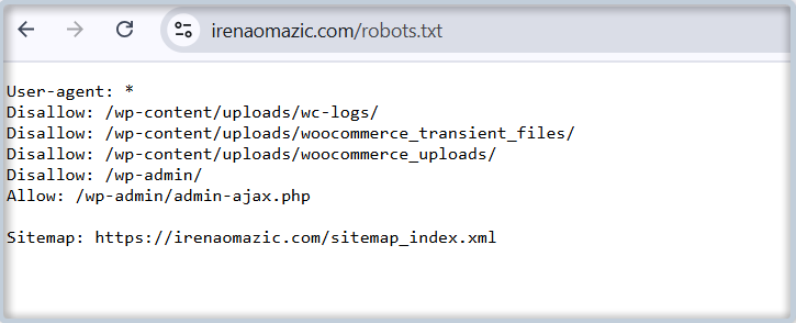 robots file na webu